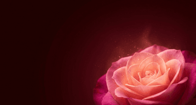 궁합 보는 법 — 사주로 알아보는 인연의 비밀